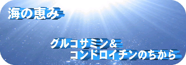 健鮫粒バナー3